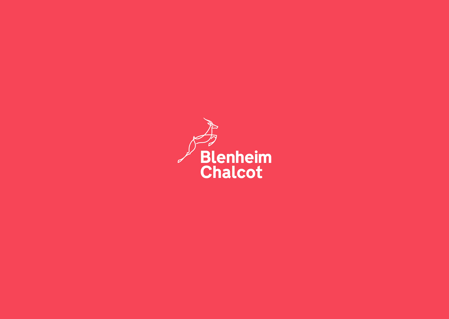Blenheim Chalcot website animation.